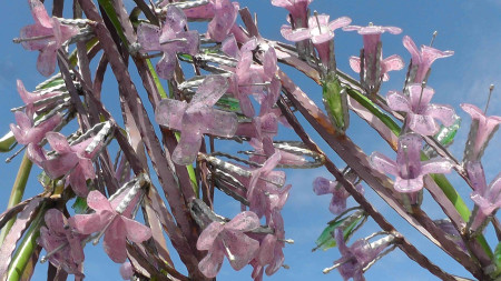 Materina dúška, detail